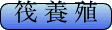 筏 養 殖